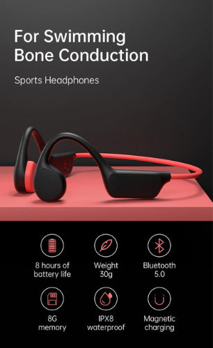 EchoEffex Earphones